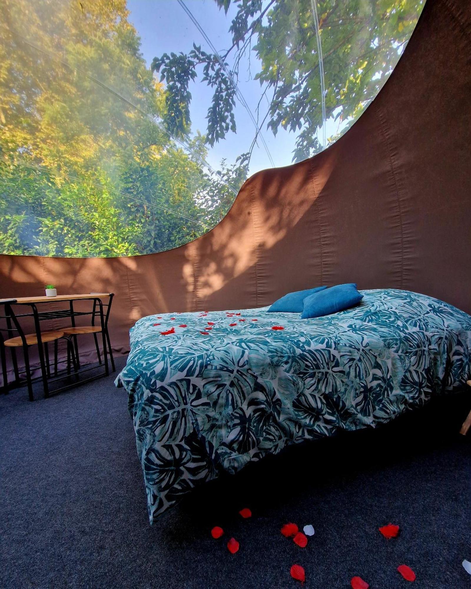 Les Nuits De Cassiopee Bed and Breakfast Sorde-lʼAbbaye Δωμάτιο φωτογραφία